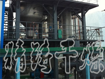 WZ單效外循環(huán)蒸發(fā)器